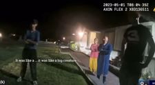 Un bărbat din Las Vegas s-a trezit cu o creatură de 3 m, gri-verzuie, în curtea casei. ”Mi-a înghețat sângele”