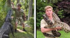 Robert Irwin, fiul regretatului Steve Irwin, rănit grav într-o confruntare cu un crocodil. Ce s-a întâmplat