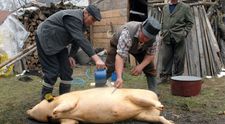 Ce este interzis să faci de Ignat. Tradiții și obiceiuri pe care este bine să le respecți pe 20 decembrie ca să nu alungi norocul din casă