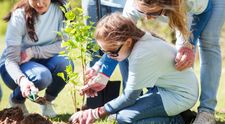 Zece mii de copii din cinci judete dau o lectie ce ar trebui invatata de noi toti. Au plantat copaci pe hectare intregi