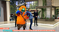 Ce mesaj a transmis Papagalul de la Masked Singer în platoul emisiunii Vorbește lumea? Tu ghicești cine e?