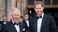 Prințul Harry, decis să îngroape securea războiului! Fiul cel mic al Regelui Charles vrea să se împace cu tatăl său, după ce a aflat că este bolnav de cancer