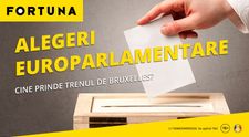 (P) Pariuri pe Europarlamentare. Cine prinde trenul de Bruxelles?