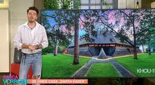 Se vinde casa “Darth Vader”! Prețul exorbitant cerut pe imobilul din Texas
