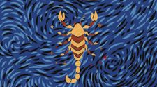 (P) Flori pentru femeile din zodia Scorpion