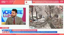 VIDEO Procedura pentru despăgubiri în cazul mașinilor distruse de copaci  
