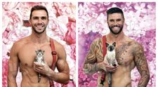 Pompierii australieni, fotografii la bustul gol pentru calendarul de anul viitor