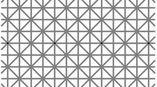 O iluzie optica a indus in eroare peste 2 milioane de oameni! Cate puncte negre sunt in imagine