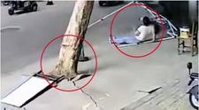 Incident dramatic provocat de furtună! Momentul în care o femeie este prinsă sub un copac doborât de vânt