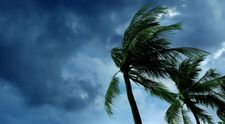VIDEO Prognoza meteo: vânt puternic
