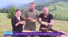 VIDEO Chef Petrescu, la cules de hribi în Bucovina