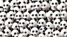 Iluzie optică virală! Tu poți găsi câinele care se ascunde printre urșii panda?