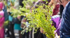 Nume rare sărbătorite de Florii. Cui trebuie să îi spui „La mulți ani”, chiar dacă nu știai