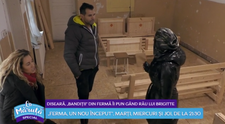 VIDEO Diseară bandiții din Ferma îi pun gând rău lui Brigitte