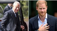 Împăcarea dintre Regele Charles și Prințul Harry ar putea dura cel puțin doi ani. Ce se întâmplă de fapt între cei doi