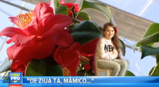Fotografii originale cu mesaje pline de iubire. Ce cadouri le pregatesc copiii mamicilor de 8 martie