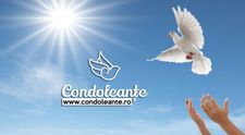 (P) Ești în căutare de servicii funerare București? Intră pe condoleante.ro și găsește agenția de pompe funebre potrivită