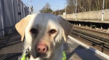 Un nevazator a izbucnit in lacrimi dupa ce niciun calator nu a vrut sa ii cedeze locul in tren