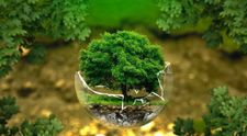 (P) Biodegradabil vs Compostabil vs Reciclabil: Ce trebuie sӑ știi?
