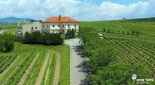 Wine Trips România | Pe drumul vinului românesc la Crama LacertA