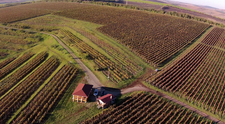 Wine Trips România | Crama La Salina, succes românesc construit cu migală de la zero