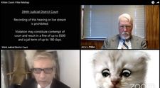 Ce simpatic e avocatul devenit faimos pe internet după ce a apărut în fața judecătorului ca o pisică! Ce interviu a dat