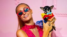 Aroganță de vedetă! Paris Hilton i-a luat câinelui geantă de 5.500 de dolari