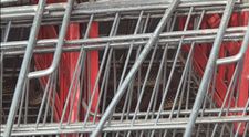 Panică într-un supermarket din Drăgănești-Olt! Un șarpe de aproape 2 metri, descoperit într-un coș de cumpărături FOTO