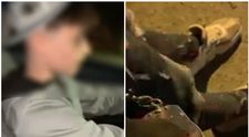 Doi adolescenți au furat mașina unui livrator ca să se plimbe prin Sibiu, apoi s-au lăudat cu isprava lor pe rețelele sociale. Ce-au făcut când i-au prins polițiștii