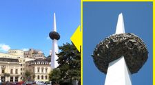 VIDEO Creatorul Cartofului în țepușă din Piața Revoluției explică de ce nu îndrăgesc românii monumentul său