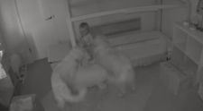 Si-au vazut bebelusul inconjurat de cei doi caini ai familiei, dar nu se asteptau sa faca asta. Ce a urmat
