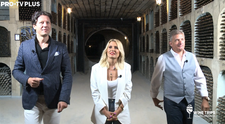 Wine Trips from România | Mileștii Mici, comoara națională a Republicii Moldova