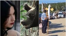 Maria Diana, fata de 19 ani ucisă de urs pe Jepii Mici, a fost condusă pe ultimul drum! Imaginile durerii de la înmormântare