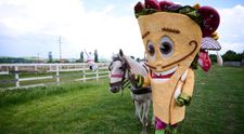 Șaorma de la Masked Singer România, o provocare de zile mari. Cum dansează „The Routine” din serialul Friends