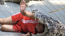 Un acrobat de la circ a regretat imediat momentul cand si-a pus capul in gura unui crocodil
