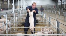 Românii, regretați în Marea Britanie. Agricultura din Regat e aproape de colaps
