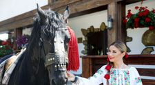 Au vrut la tara, dorinta li s-a implinit! Gospodar fara pereche - ASTAZI, de la 20:30, la PROTV