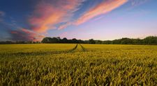 (P) Pentru ce poți folosi un credit agricol? Ghidul începătorului