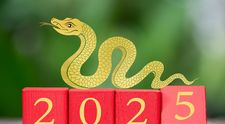 Horoscop chinezesc 2025. Predicții pentru Anul Șarpelui de Lemn pentru fiecare zodie în parte