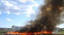 Locuitorii unui oraș au avut halucinaţii câteva zile după ce poliția a ars chiar în centrul orașului 20 de tone de canabis - FOTO