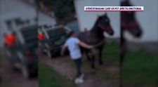 Imaginile care au isterizat internetul! Un cal a fost bătut și obligat să tragă o mașină de teren, iar totul a fost filmat
