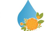 (P) Gelurile cu ulei de la CrisNatur, o porție de natură pentru armonia dintre corp și minte