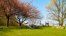 Vremea pe 1 iunie, de Ziua Copilului. Anunțul făcut de meteorologi despre prima zi din vară