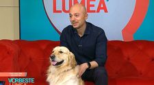 Faceți cunoștință cu Hoka, câinele vegan! Ce mănâncă patrupedul maratonistului Andrei Roșu