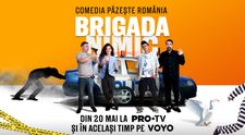 Serialul Brigada Nimic începe astăzi la PRO TV și pe VOYO!