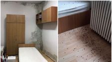Studenții se revoltă pe TikTok. Igrasie, gândaci și instalații sanitare defecte în căminele Universității de Medicină din Iași