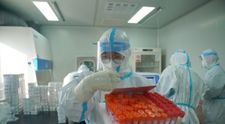 Dovada că virusul Covid a fost scăpat din laborator. Ce se întâmpla în Wuhan cu doar câteva luni înainte de izbucnirea pandemiei