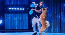 Românii au talent 2020: Dogs Of Anarchy