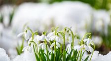 Cum va fi vremea în România în următoarele două săptămâni. Prognoza meteo până pe 15 martie pentru fiecare regiune a țării