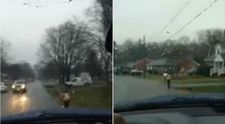 A lasat copilul sa mearga pe jos, prin ploaie, pentru ca era rautacios la scoala. Cum au reactionat ceilalti parinti